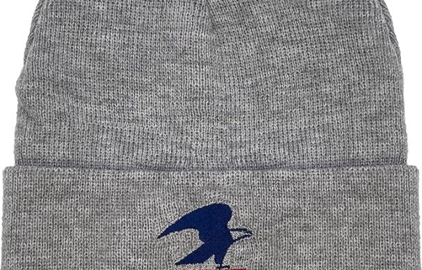 U.S. Mail Standing Eagle USPS Beanie (Gray)